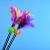 New Wholesale Pet Cat Toy with Bell Colorful Feather Cat Teaser Pet Cat Playing Rod Cat-Related Products