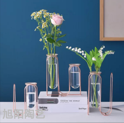 Nordic Instagram Style Creative Glass Test Tube Vase Light Luxury Iron Home Decoration Dried Flower Arrangement Flower Ware Dining-Table Decoration