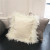 Cushion Pillow Cover Velvet Turkey Feather Pillow Cover Modern Minimalist Living Room Sofa Cushion Cover Manufacturer