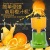 Commercial Juicer Fruit Pomegranate Orange Juice Juicer Lemon Juicer Blender