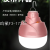 Led Lotus Model Bulb 80W High-Power Highlight Emergency Light with Hook Movable Night Market Lamp for Booth