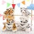Cartoon Cute Tiger Plush Toy Figurine Doll Cute Tiger Doll Mascot Prize Claw Doll Wholesale
