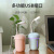 Convenient Domestic Humidifier 2020 New Color Light Cup Household Appliance Humidifier Car Humidifier Mushroom Colorful Light