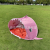 Children's Beach Tent Baby Beach Sunshade Quickly Open Folding Outdoor Toy House Shark Tent Indoor and Outdoor Toys