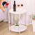 Coffee Table Simple Modern Nordic Iron Net Red Small Apartment Side Table Living Room Table Simple Balcony Flower Stand