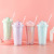 Tiktok Korean Style Micro Landscape Ice Cup Internet Celebrity Summer Double Plastic Straw Cup 550ml Clear Water Cup