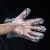 Disposable PE Gloves Transparent Gloves Food Grade