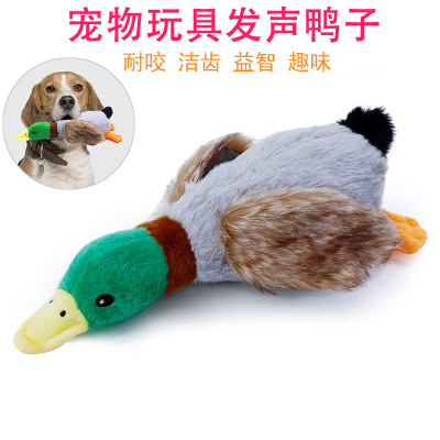 Cross-Border New Arrival Pet Toy Plush Sound Duck Dog Toy 28cm Simulation Wild Duck Child Pet Supplies