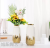 Nordic Ins Electroplating Vase Ceramic White Living Room Decoration Minimalist Creative Model Room Home Decorative Crafts