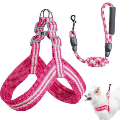 Origin Supply Pet Supplies Dog Hand Holding Rope Teddy/Golden Retriever Small, Medium and Large Dogs Dog Leash in Stock Wholesale