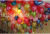  Ballons Balloon Dispensing Balloon Glue Double Sided Adhesive Balloon Partner