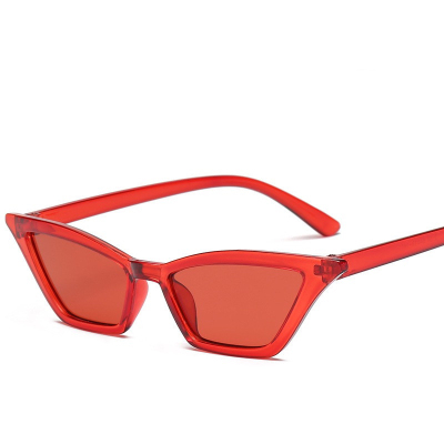 Adult Candy-Colored Sunglasses