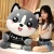 Cute Husky Plush Toy Erha Figurine Doll Ragdoll Dog Bear Bed Sleeping Birthday Gift for Women
