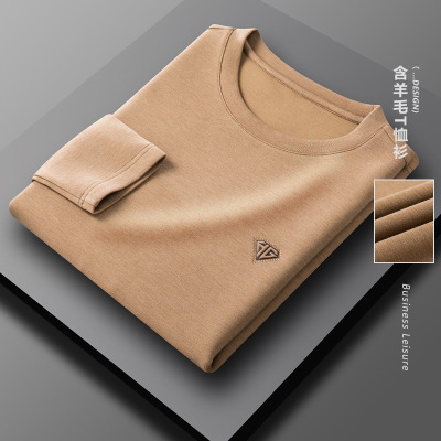 2021 New Wool T-shirt Men's round Neck Long Sleeve Top Young and Middle-Aged Fashion Casual Fall Base T-shirt