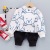 Cute Tail Bear Children's Clothing 0-4 Years Old Boys Spring Clothing Cartoon round Neck T-shirt Children's Casual Long Sleeve Sweatshirt Suit Wholesale