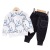 Cute Tail Bear Children's Clothing 0-4 Years Old Boys Spring Clothing Cartoon round Neck T-shirt Children's Casual Long Sleeve Sweatshirt Suit Wholesale