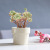 White Ceramic Flower Pot Nordic Modern Simple Creative Personality Office Desk Surface Panel Succulent Small Color Flower Pot