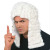 Lawyer Wig Judge Cap American Gentleman Ball Party Wig Holiday Supplies European and American Court Judge Wig