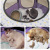 Cat Delivery Room Cat Pregnancy Delivery Room Folding Closed Tent For Common Dogs Breeding Box Pet Supplies Cat Nest