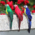 Simulation Feather Parrot Green Plant Gardening Decoration Bird Golden Steel Parrot Fake Bird 25cm 35cm