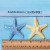 Large Simulation Shell Starfish Resin Accessories DIY Refridgerator Magnets Phone Case Ornament Accessories