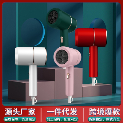 750W Professional Hair Dryer Electric Dryer Hair Hammer Hairdryer Blow Negative Ion Mini Blower Dry Strong Wind