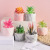 Artificial/Fake Flower Bonsai Succulent Plants Pot Marbling Ceramic Flowerpot