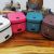 One Piece Dropshipping Mini Rice Cooker Small Rice Cooker Smart Single Household Kitchen Appliances Rice Cookers Cooker