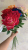 Single big horn rose velvet rose home decoration artificial flowers Rosa de franela simple flores artificiales 