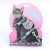 New Cat Pulling Rope I-Shaped Cat Chain Dog Leash Cute Bear Head Pet's Chest-Back Traction Belt Wholesale