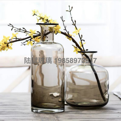 Nordic American Flower Vase Long Neck Vase Glass Transparent Pigment Simple Vase