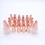 Decorating Cake Baking Suit Rose Gold Stainless Steel Mouth of Piping Device Decorating Pouch Converter Baking Tool