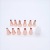 DIY Baking Tool Rose Gold Stainless Steel Mounted Flower Mouth Set Decorating Pouch Pastry Nozzle Converter 8pc 12pc