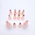 DIY Baking Tool Rose Gold Stainless Steel Mounted Flower Mouth Set Decorating Pouch Pastry Nozzle Converter 14pc26pc