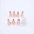 DIY Baking Tool Rose Gold Stainless Steel Mounted Flower Mouth Set Decorating Pouch Pastry Nozzle Converter 8pc 12pc