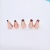 Rose Gold Stainless Steel 6 Decorating Nozzle Decorating Pouch Converter Baking Tool Set 8pc
