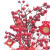  Lucky Tree Wealth Red Fruits Tree Artificial Trees Lucky Tree Money Tree Ornaments Bonsai Style Wealth Luck Feng Shui D