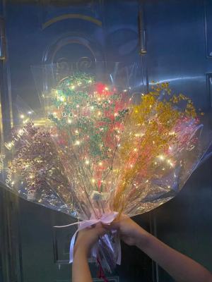 Hot Sale Teachers' Day and Other Festivals Girls Birthday Gifts Luminous Starry Sky with Lights Dried Bouquet Gifts