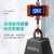 Manufacturer Electronic Hoist Scale Wireless Remote Control Hanging Scale 500kg Scale Portable 1T  Industrial Scale