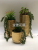 Electroplating Medium Temperature Ceramic Flower Vase and Flower Pot Succulent Plant Flowerpot Decoration