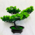 Simulation Artificial Flower Potting Decoration Fake Trees Big Welcome Pine Plastic Bonsai Simulation Pine Indoor Green Plant Decoration