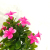 Mini Artificial Bonsai Flower Plastic Flowers Small Potted Miraflor &#127800; Factory Direct Sales Artificial Flower Plant