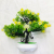 Artificial Bouquet Emulational Flower and Grass Single Plastic Flower Green Plant Flower Arrangement Decoration Decoration Fake Flower Constant Color Floral