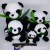 Lesser Panda Plush Toys Chengdu Sichuan University Lesser Panda Panda Doll Lying Bear Black and White Plush National Treasure Big Doll