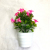 Mini Artificial Bonsai Flower Plastic Flowers Small Potted Miraflor &#127800; Factory Direct Sales Artificial Flower Plant