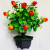 Artificial Bouquet Emulational Flower and Grass Single Plastic Flower Green Plant Flower Arrangement Decoration Decorati