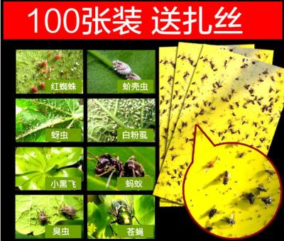Yellow Board Insect Trap Board Blue Board Factory Wholesale Whole Box Tea Garden Orchard Greenhouse Gardening Physical 