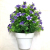 Artificial Bouquet Emulational Flower and Grass Single Plastic Flower Green Plant Flower Arrangement Decoration Decorati