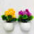 Artificial Bouquet Emulational Flower and Grass Single Plastic Flower Green Plant Flower Arrangement Decoration Decoration Fake Flower Constant Color Floral