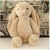 Factory Direct Sales Cute Rabbit Plush Toy Doll Wu Peici Same Cute Rabbit Soothing Rabbit One Piece Dropshipping